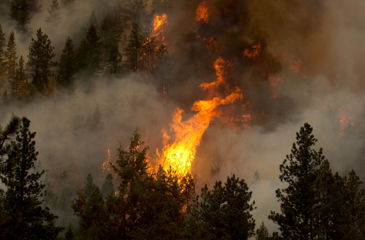 Practicing evacuation drills in regions of the country where wildfires are common is one example of how preparedness aids the Defense Department’s readiness mission. During rampant Colorado wildfires in summer 2012, the Colorado National Guard provided red-card certified aviators with other Guard members serving from units in Wyoming, Kansas and Nebraska to fight fires. Also, communications troops provided an interoperability communications platform to reach multiple agencies, and military policemen assisted Colorado’s Larimer County Sheriff’s office with evacuations and aided in the protection of citizens and property during the High Park fire, June 21, 2012. Army National Guard photo by Sgt. Jecca Geffre