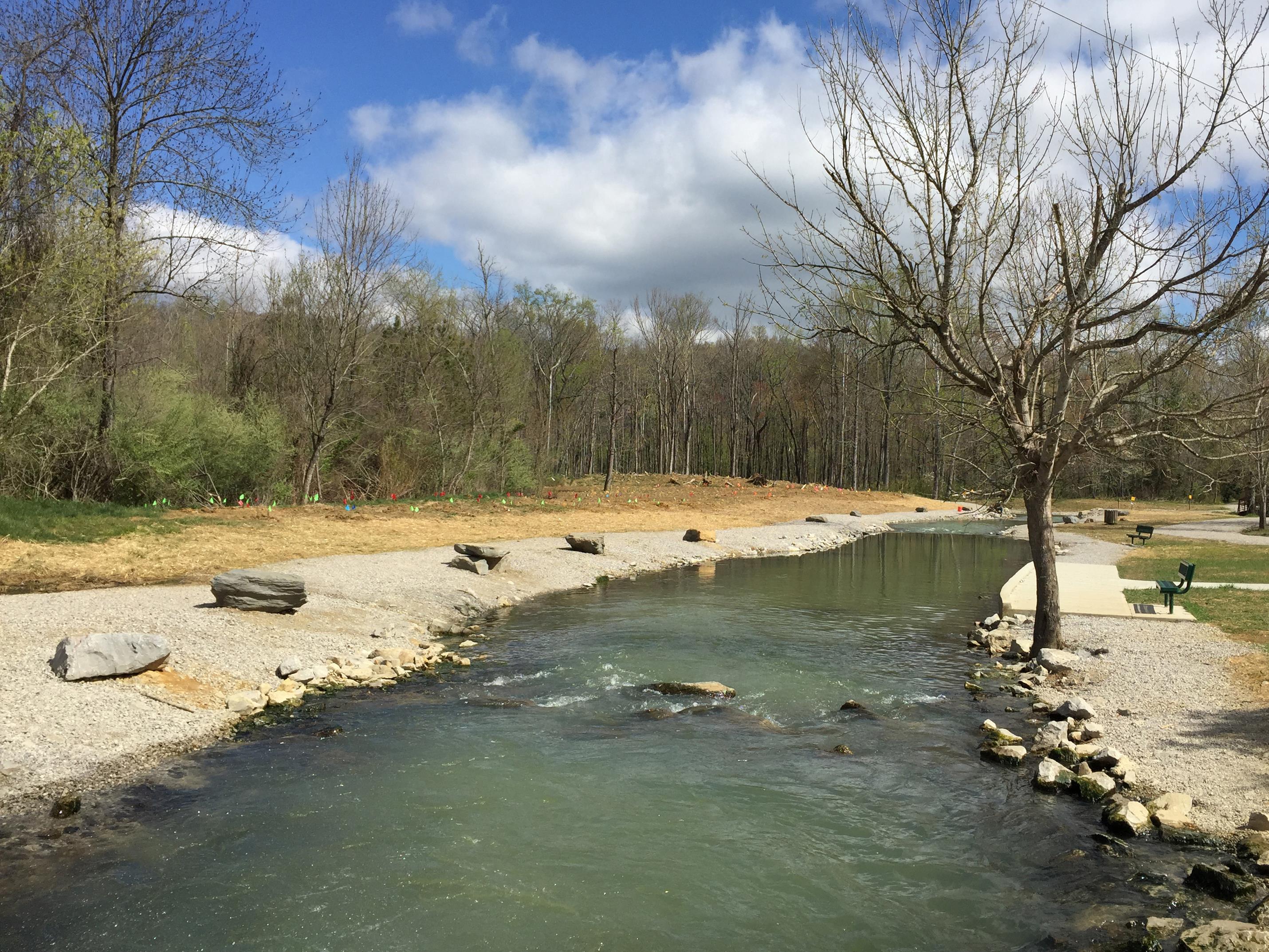 Tree planting at new manmade trout stream