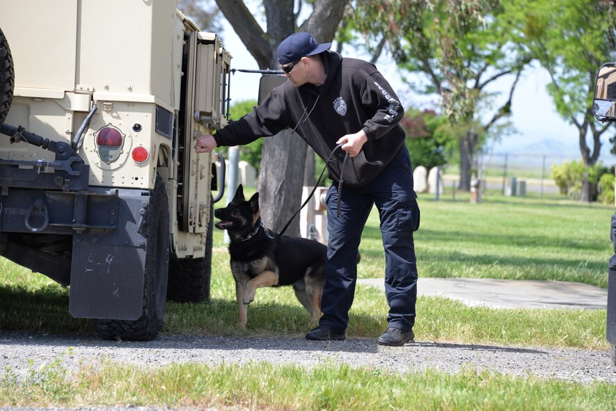 A competitor from the San Leandro K-9 unit assists his dog, Conan, during an explosive detection scenario April 8 at Travis Air Force Base, California. The detection portion of the competition was timed and judged by the Western States Police Canine Association. (U.S. Air Force photo by Senior Airman Amber Carter)