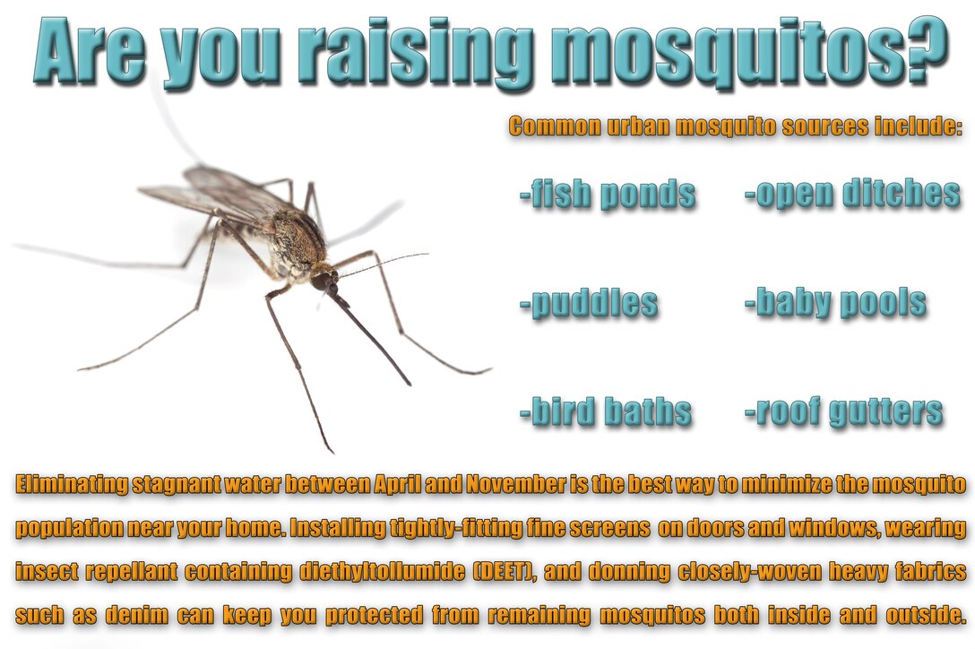As a result of high levels of rainfall late last year and unseasonably high temperatures the past few months, experts predict mosquitos to be out in higher numbers than usual this year for the Shaw Air Force Base area. These insects have the potential to carry viruses that can be harmful to humans, and the best way to prevent the spread of these viruses is to keep the mosquito population under control. By eliminating sources of stagnant water; installing fine screens on doors and windows; wearing insect repellant; and donning closely-woven, heavy fabrics when outdoors, Team Shaw personnel can minimize their risk of coming in contact with a potentially dangerous insect-transmitted virus. (U.S. Air Force graphic by Senior Airman Zade Vadnais)