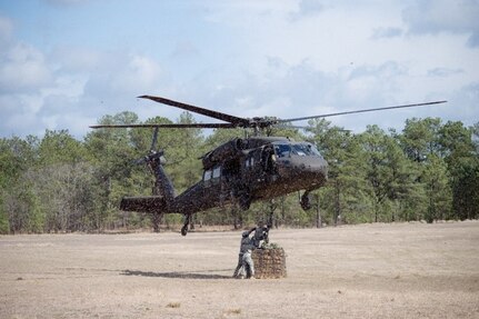 A flight crew from 5-159th General Services Aviation Battalion (GSAB) provided slingload hook-up training with Soldiers from the 230th Brigade Support Battalion of the North Carolina Army National Guard, March 10. 5-159th GSAB direct reporting unit to the 11th Theater Aviation Command. The 11th Theater Aviation Command (TAC) is the only aviation command in the Army Reserve. (Courtesy Photo)