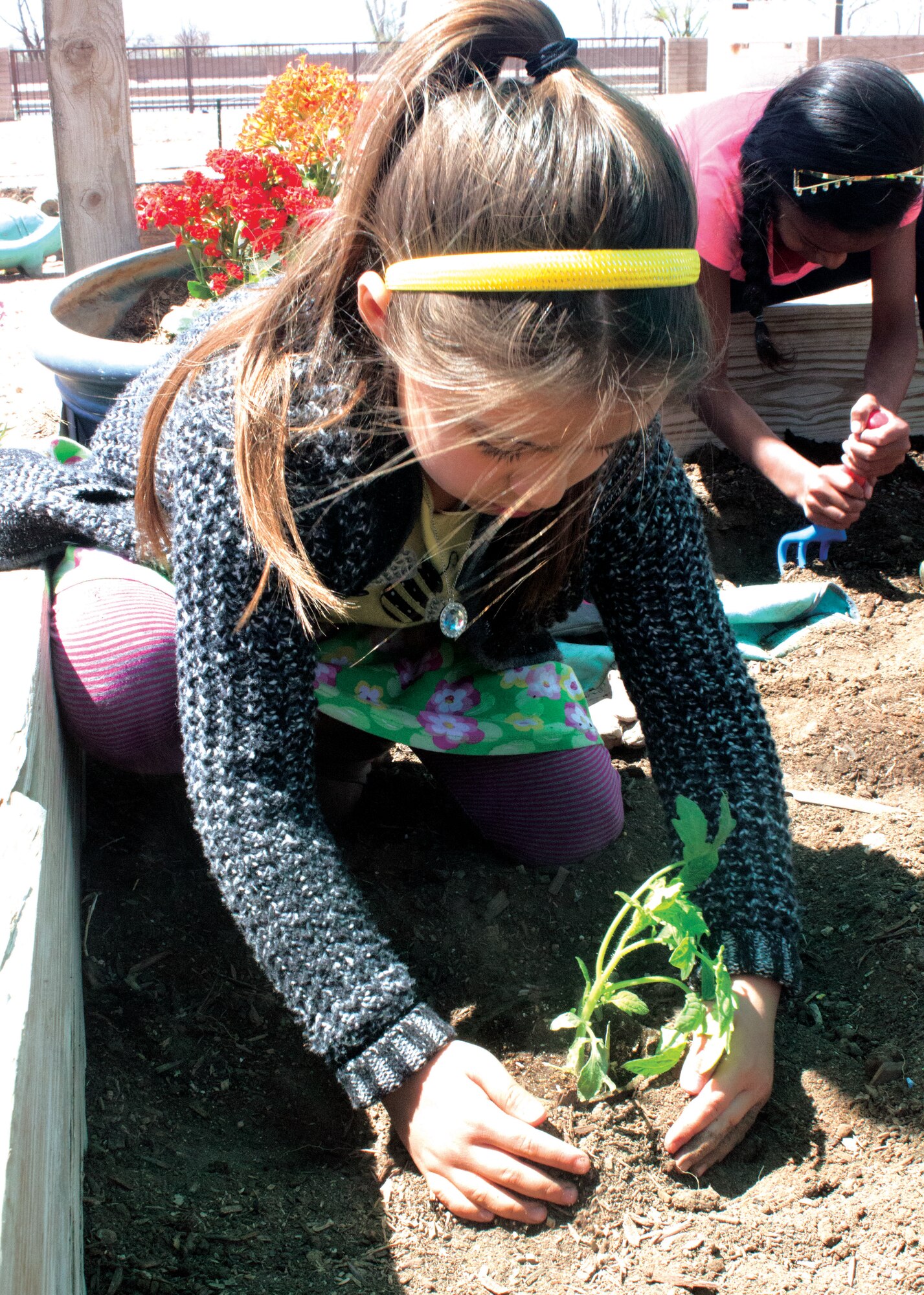 Chloe Sanderson, 7, takes great care to ensure a tomato plant remains standing while helping plant the Youth Center garden. The Youth Center’s garden club teaches kids how to grow fruits, vegetables and flowers from seed. (Photo by Bud Cordova)
