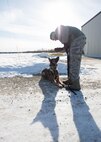 U.S. Staff Sgt. Barret Chappelle, a 354th Security Forces military working dog (MWD) handler, works with MWD Cage prior to a building sweep March 7, 2016, at Eielson Air Force Base, Alaska. Military working dogs from Eielson work alongside the human defenders who stand “Ready to go at 50 below” 24 hours a day protecting assets at the top of the world in the U.S. Air Force’s Pacific theater of operations. (U.S. Air Force photo by Staff Sgt. Shawn Nickel/Released)