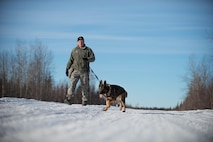 U.S. Staff Sgt. Barret Chappelle, a 354th Security Forces military working dog (MWD) handler, works with MWD Cage at Eielson Air Force Base, Alaska, March 7, 2016. Military working dogs from Eielson work alongside the human defenders who stand “Ready to go at 50 below” 24 hours a day protecting assets at the top of the world in the U.S. Air Force’s Pacific theater of operations. (U.S. Air Force photo by Staff Sgt. Shawn Nickel/Released)
