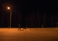 U.S. Staff Sgt. Mathis Williams, a 354th Security Forces military working dog (MWD) handler, conducts a foot patrol with MWD Oopal at Eielson Air Force Base, Alaska, March 7, 2016. Williams and his fellow MWD handlers work in below zero temperatures and face long hours of darkness while stationed in the arctic. (U.S. Air Force photo by Staff Sgt. Shawn Nickel/Released)