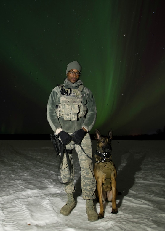 U.S. Staff Sgt. Mathis Williams, a 354th Security Forces military working dog (MWD) handler, takes a break from a patrol with MWD Oopal in the dark at 30 degrees below zero March 7, 2016, at Eielson Air Force Base, Alaska, while the aurora borealis dances behind them. Military working dogs from Eielson work alongside the human defenders who stand “Ready to go at 50 below” 24 hours a day protecting assets at the top of the world in the U.S. Air Force’s Pacific theater of operations. (U.S. Air Force photo by Staff Sgt. Shawn Nickel/Released)