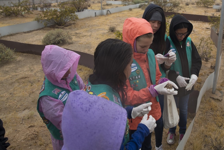 Girl Scouts of Troop 1744 hold a three-year-old tortoise during their visit to the Tortoise Research and Captive Rearing Sight April 10, 2016. The troop visited the installation to earn their Wildlife Habitat Badges which are earned through education on native wild animals and how they live. (Official Marine Corps photo by Cpl. Thomas Mudd/Released)