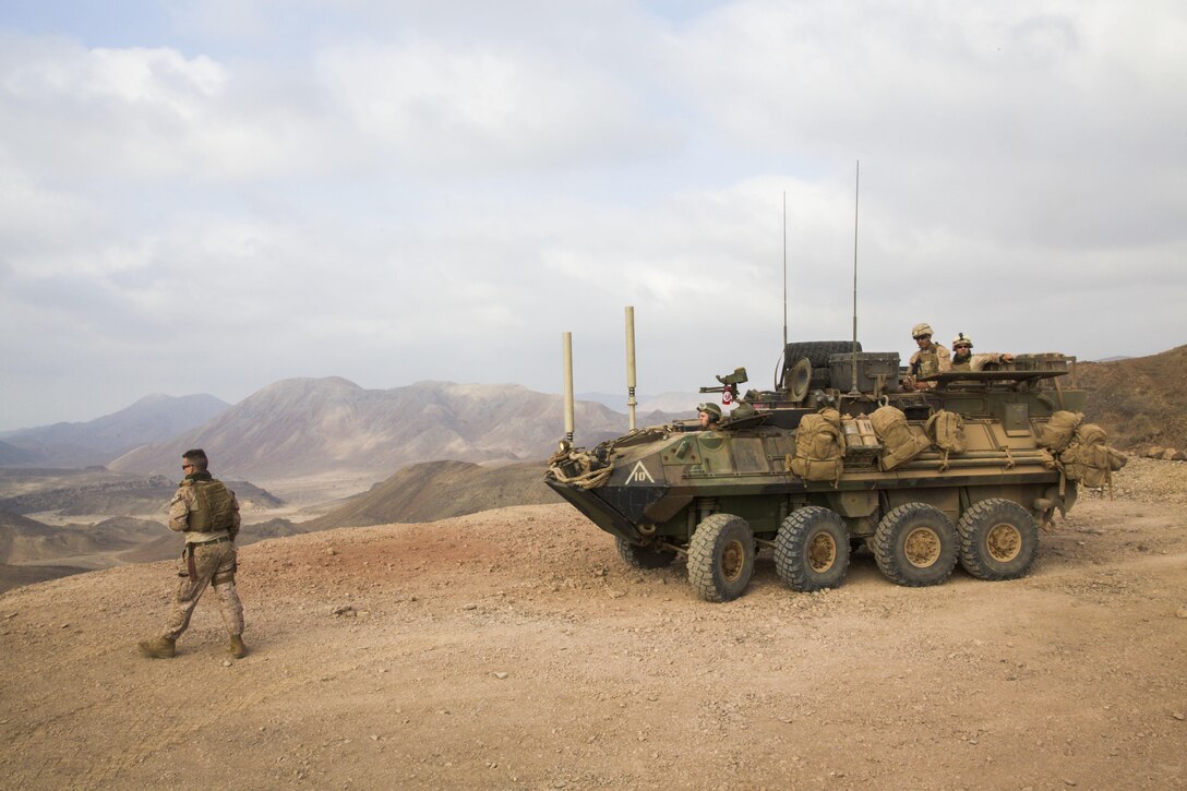 DJIBOUTI, Africa (Apr. 13, 2016)- A U.S. Marine with the 13th Marine Expeditionary Unit ground guides a light armored reconnaissance vehicle in Djibouti, Africa, Apr. 12, 2016. The 13th MEU is conducting sustainment training to maintain proficiency and combat readiness as part of the Boxer Amphibious Ready Group team on a scheduled deployment to the Western Pacific area of operations. (U.S. Marine Corps photo by 1stLt Francheska Soto/ RELEASED)