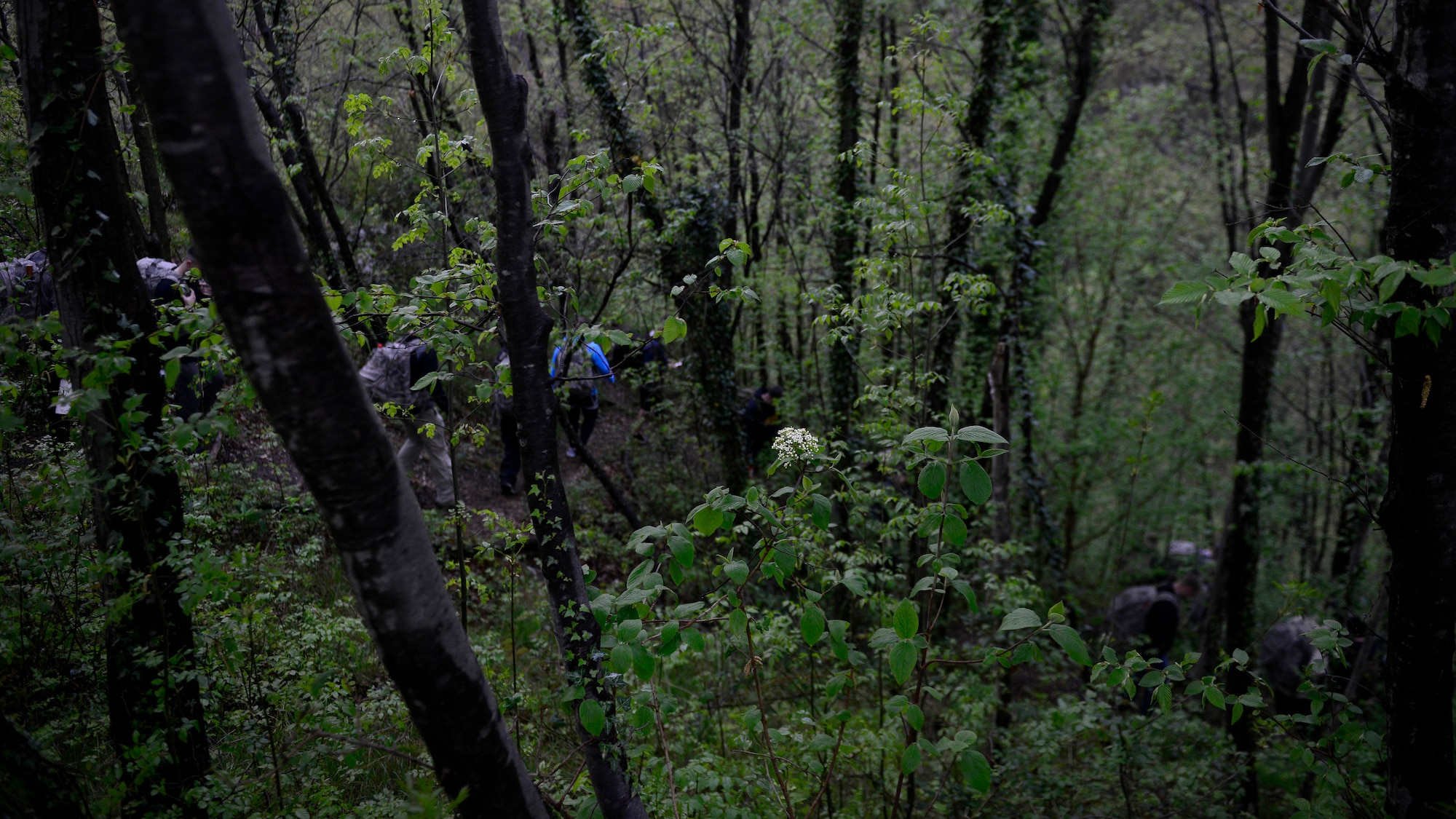U.S. Air Force Office of Special Investigations members and 31st Security Forces Squadron Airmen hike along the Il Santuario Diocesano Madonna del Monte church trails during a ruck march, April 14, 2016, in Costa di Aviano, Italy. The ruck march was organized to remember four OSI and two Security Forces members who died in a December, 2015, attack in Afghanistan. (U.S. photo by Airman 1st Class Cary Smith/Released)