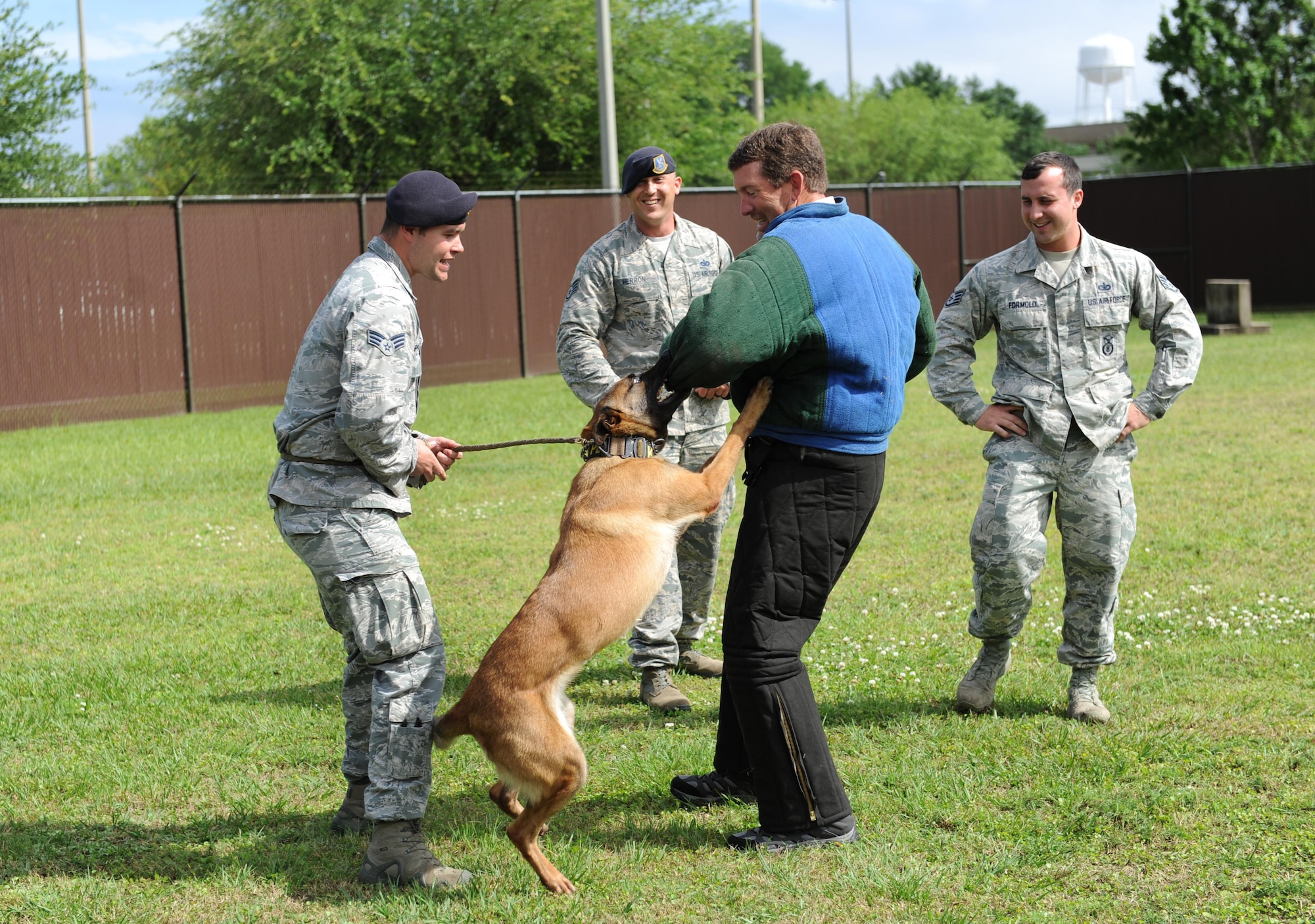 John Boothby, Apple Construction president, gets bit by Zeno, 81st Security Forces Squadron military working dog, while wearing a bite suit during a controlled aggression training demonstration with81st SFS MWD handlers, at the kennels during an honorary commanders 81st Mission Support Group orientation tour April 14, 2016, Keesler Air Force Base, Miss. The honorary commander program is a yearly partnership between base leadership and local civic leaders to promote strong ties between military and civilian leaders. (U.S. Air Force photo by Kemberly Groue)