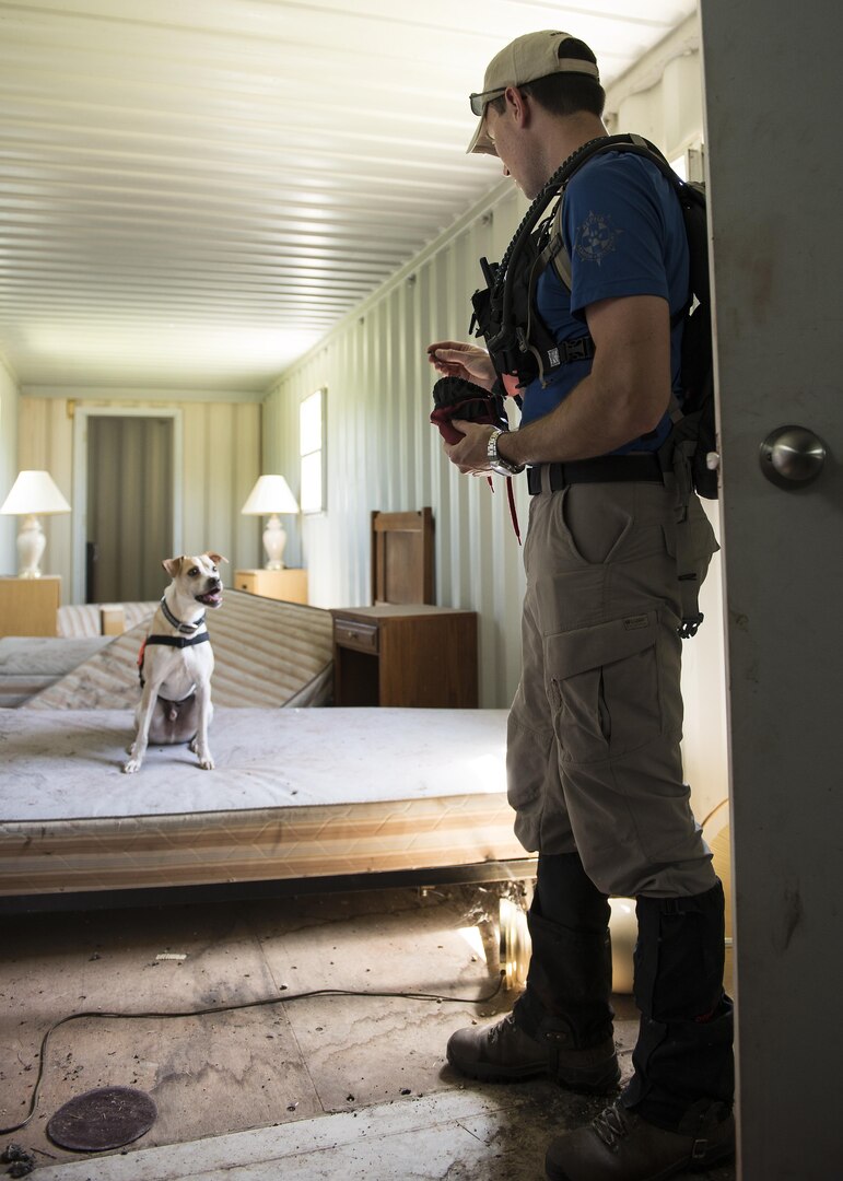 Nick Blackman, cadaver dog handler for Alpha Search and Rescue, rewards his dog Rocket during a training exercise at Joint Base San Antonio-Lackland Medina Annex April 2, 2016. Alpha SAR partnered with Airmen from the 66th Training Squadron for the joint training exercise.  