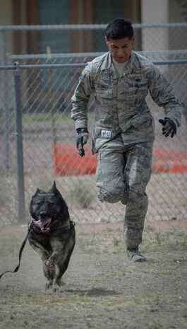 Staff Sgt. Adrian Alvarez, 99th Security Forces Squadron military working dog handler, runs with ‘PJ’, 99th SFS military working dog, during a MWD demonstration at Nellis Air Force Base, Nev., April 7, 2016. While demonstrations serve as a good way to display and inform the public of the capabilities of MWDs, they only highlight a very small portion of their mission and capabilities of the handler and the dog. (U.S. Air Force photo by Airman 1st Class Nathan Byrnes)