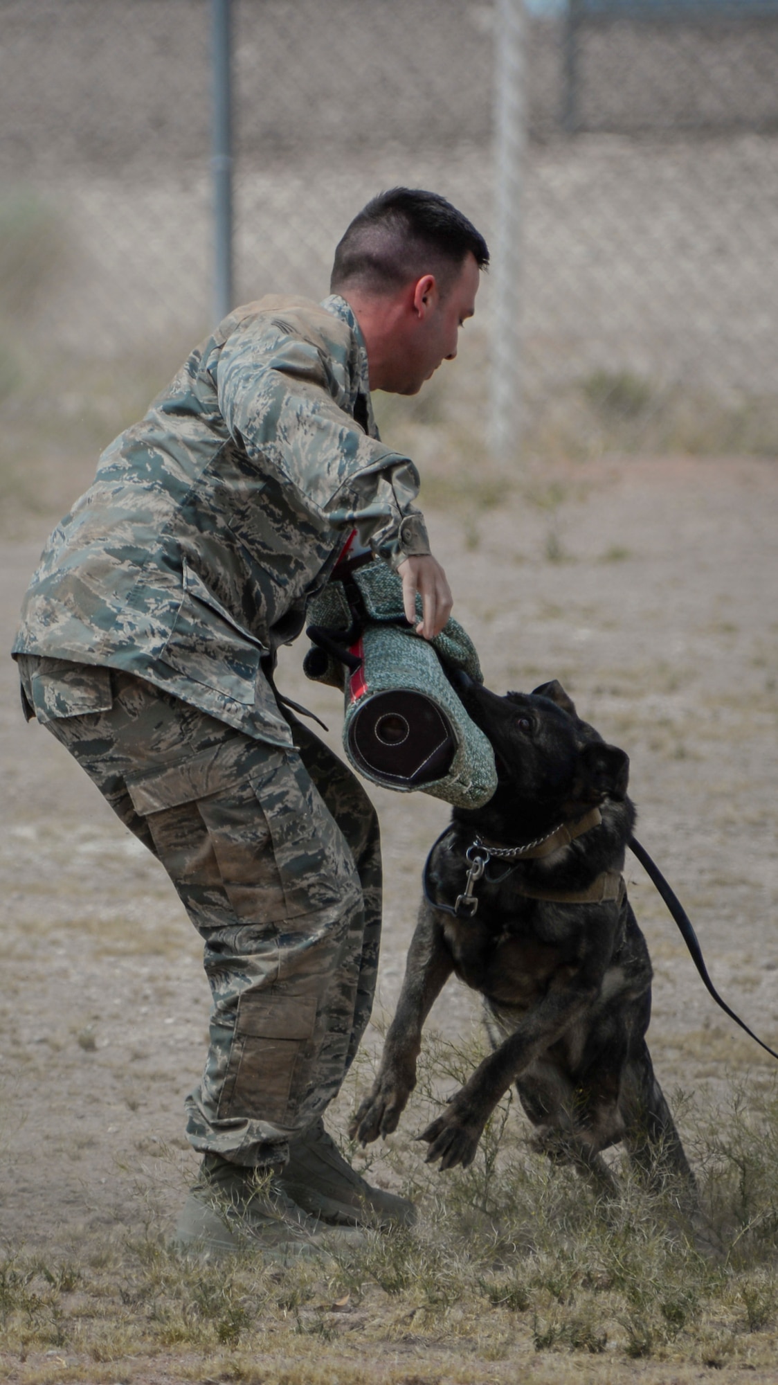 ‘PJ’, 99th Security Forces Squadron military working dog, bites the arm pad during a MWD demonstration at Nellis Air Force Base, Nev., April 7, 2016. The constant training coupled with the unique bond between handler and dog is what allows the 99th SFS MWD unit to be mission ready and consistently perform at the highest level. (U.S. Air Force photo by Airman 1st Class Nathan Byrnes)