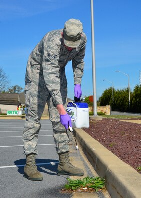 Airman 1st Class Jeremy Johnson, 436th Civil Engineer Squadron pest control journeyman, sprays weed killer around the Commissary parking lot during a spring cleanup event April 18, 2016, at Dover Air Force Base, Del. The 436th CES organized the event and had assistance from more than 40 Airmen to help complete various cleaning tasks across the base. (U.S. Air Force photo/Senior Airman William Johnson)