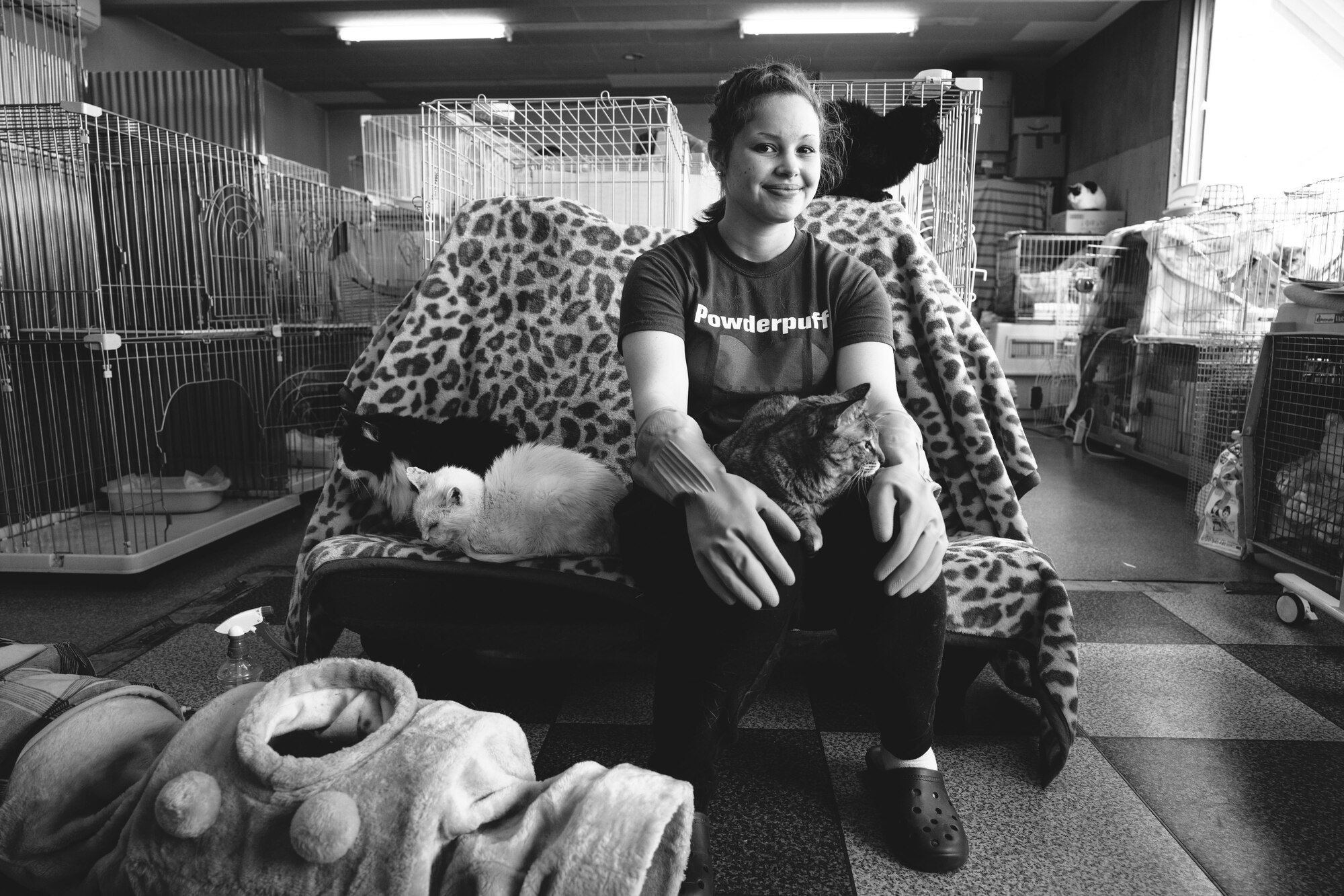 Airman Natalie Gaston, 374th Medical Support Squadron bioenvironmental technician, sits amongst cats at an animal shelter in Akishima, Japan, April 16, 2016. By volunteering at the shelter, Airmen not only had an opportunity to help animals, but also forge a stronger bond with the people within their local community. (U.S. Air Force photo by Senior Airman Delano Scott/Released)