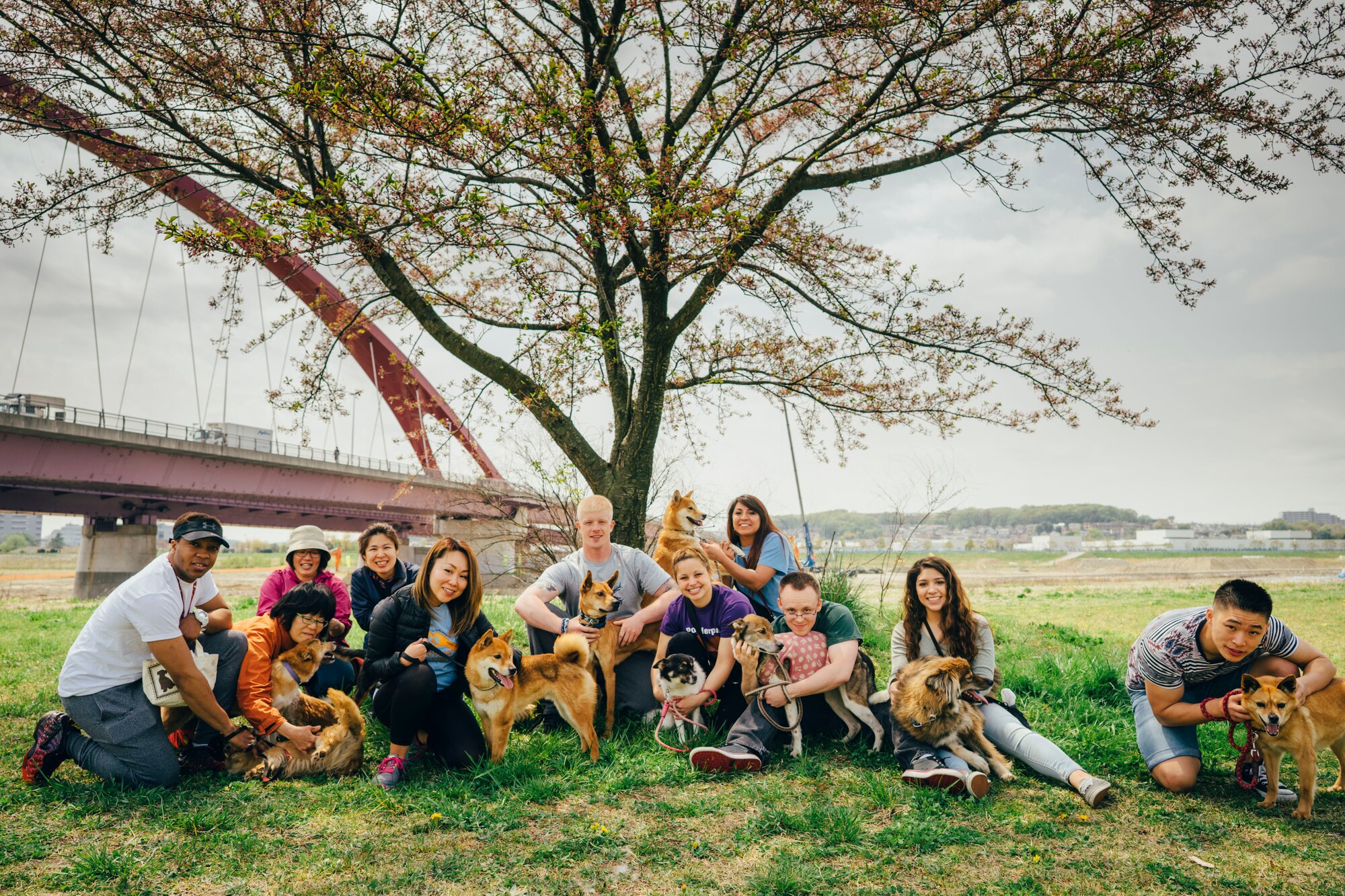 Airmen and Akishima animal shelter employees pose with dogs in Akishima, Japan, April 16, 2016. Over the course of two days, 20 Airmen volunteered their time in the local community by assisting an animal shelter with cleaning projects, walking dogs and grooming. (U.S. Air Force photo by Senior Airman Delano Scott/Released)