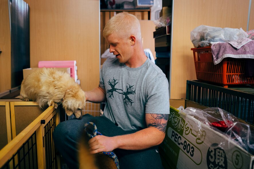 Airman Spencer Patton, 374th Civil Engineer Squadron emergency management, pets a dog while volunteering at an animal shelter in Akishima, Japan, April 16, 2016. Patton was one of 20 Airmen who gave their time to help the more than 90 animals at the shelter. (U.S. Air Force photo by Senior Airman Delano Scott/Released)