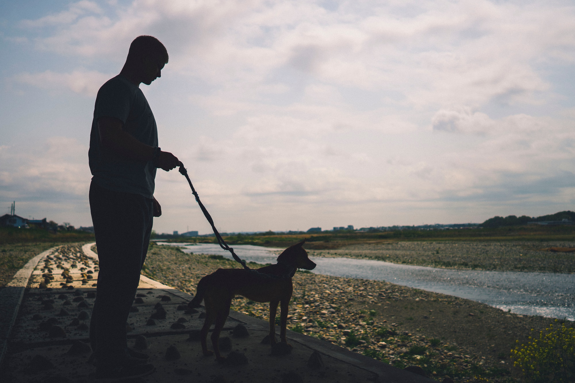 Airman Spencer Patton, 374th Civil Engineer Squadron emergency management, walks a dog while volunteering at an animal shelter in Akishima, Japan, April 16, 2016. Patton was one of 20 Airmen who gave their time to help the more than 90 animals at the shelter. (U.S. Air Force photo by Senior Airman Delano Scott/Released)