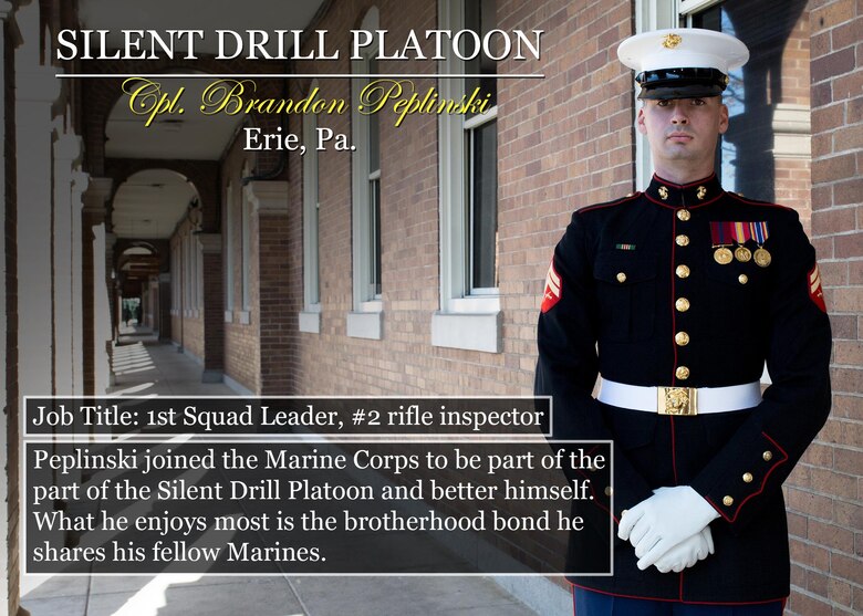 Cpl. Brandon Peplinski
Erie, Pa.
Job Title: 1st Squad Leader, #2 rifle inspector
Peplinski joined the Marine Corps to be part of the part of the Silent Drill Platoon and better himself. What he enjoys most is the brotherhood bond he shares his fellow Marines.
(Official Marine Corps graphic by Cpl. Chi Nguyen/Released)