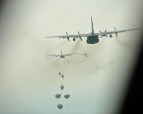 Paratroopers deploy their parachutes over Hohenfels Training Area, Germany on April 12, 2016. The 94th Airlift Wing participated in Exercise Saber Junction 16 April 11-15. (U.S. Air Force photo/ Senior Airman Andrew J. Park)
