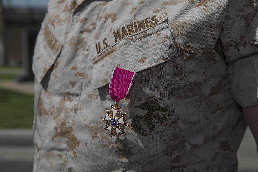 Col. Andrew R. Kennedy, former director of Tactical Training and Exercise Control Group, earned the Legion of Merit for his exceptionally meritorious conduct in the performance of outstanding service as the director of TTECG and assistant chief of staff G-3 Operations and Training during his retirement ceremony at Lance Cpl. Torrey L. Gray Field April 15, 2016. (Official Marine Corps photo by Cpl. Medina Ayala-Lo/Released)