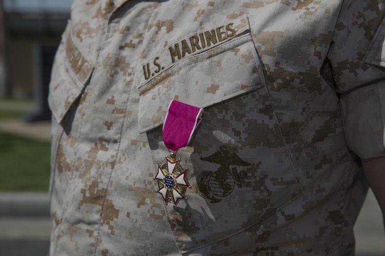 Col. Andrew R. Kennedy, former director of Tactical Training and Exercise Control Group, earned the Legion of Merit for his exceptionally meritorious conduct in the performance of outstanding service as the director of TTECG and assistant chief of staff G-3 Operations and Training during his retirement ceremony at Lance Cpl. Torrey L. Gray Field April 15, 2016. (Official Marine Corps photo by Cpl. Medina Ayala-Lo/Released)