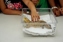 Maxwell Elementary and Middle School students take turns petting a bearded dragon during the Maxwell Earth Day event hosted by the base environmental office, April 21, 2016, Maxwell Air Force Base, Ala. The Alabama 4-H Science School’s reptiles are usually native to the southern region, however, the bearded dragon is native to Australia’s desert.