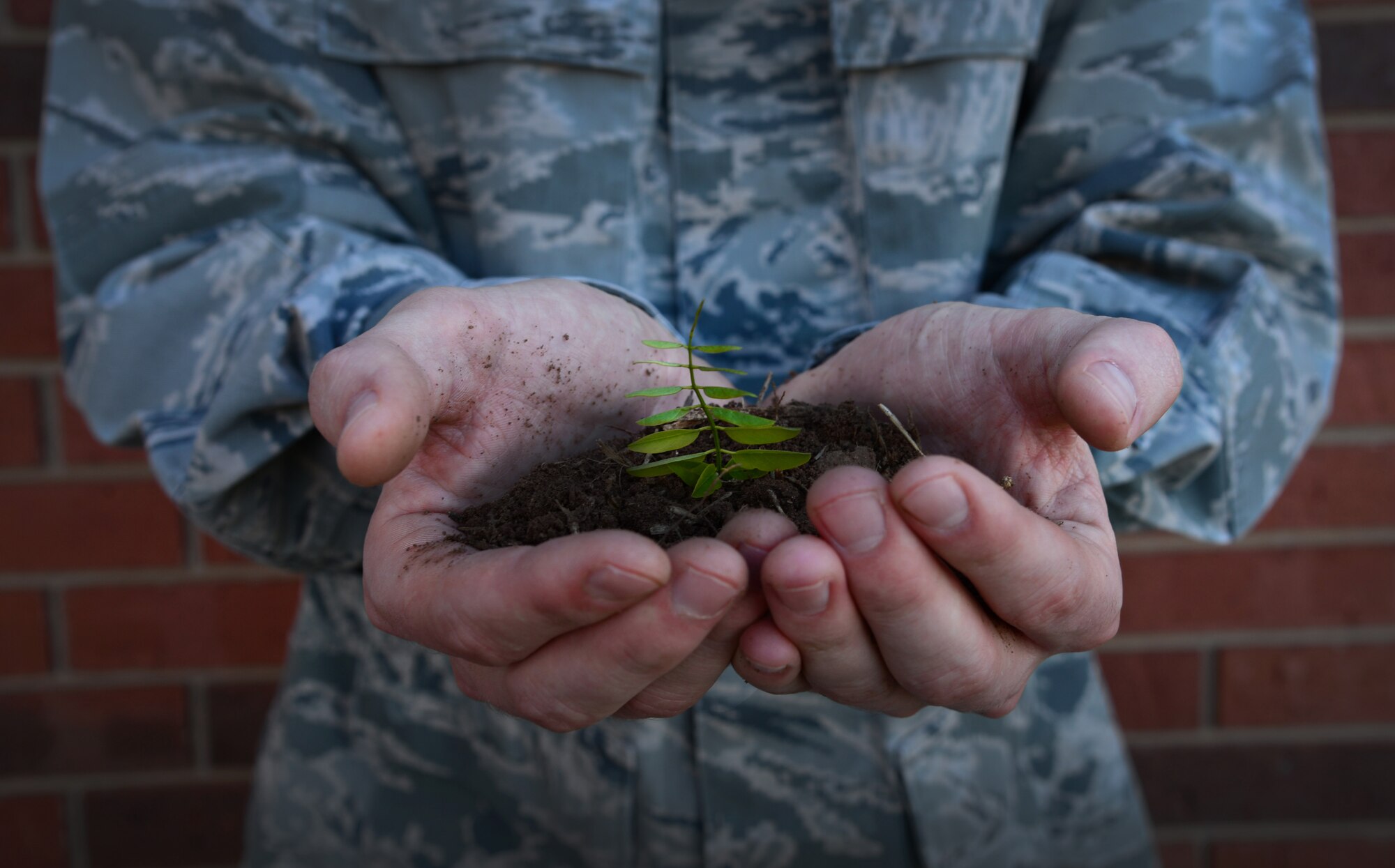 (U.S. Air Force photo/Staff Sgt. Alexx Pons) 