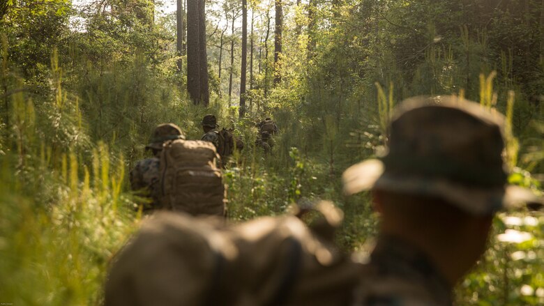 U.S. Marines with 2nd Battalion, 8th Marine Regiment spot two notional enemies ahead during an attack evolution at Marine Corps Base Camp Lejeune, N.C., April 20, 2016. The Marines conducted patrols, ambushes and assaults to prepare of their upcoming Integrated Training Exercise. 
