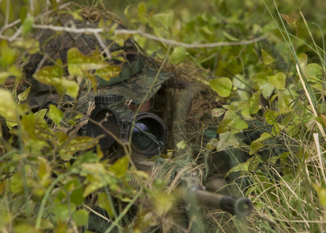 Lance Cpl. Thomas Hunt, a designated marksman with 1st Platoon, Bravo Company, 2nd Law Enforcement Battalion, looks through the scope of his M110 sniper rifle while concealed in the tree line during the II Marine Expeditionary Force Command Post Exercise 3 at Camp Lejeune, N.C., April 20, 2016. During the CPX, 2nd LEB posted security around the campsite and defended it from mock enemies, ensuring the headquarters element could complete the mission safely. (U.S. Marine Corps photo by Cpl. Michelle Reif/Released)
