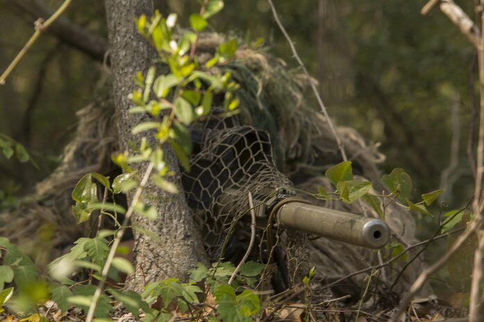 A designated marksman with 1st Platoon, Bravo Company, 2nd Law Enforcement Battalion, looks through the scope of his M110 sniper rifle while concealed in the tree line during the II Marine Expeditionary Force Command Post Exercise 3 at Camp Lejeune, N.C., April 20, 2016. During the CPX, 2nd LEB posted security around the campsite and defended it from mock enemies, ensuring the headquarters element could complete the mission safely. (U.S. Marine Corps photo by Cpl. Michelle Reif/Released)
