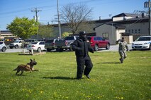 Team Dover Honorary Commanders visited Dover's Mission Support Groups 20 April, 2016,  at Dover Air Force Base, Del., to better understand the mission and support services that the MSG provides the base and local community. The program encourages an exchange of ideas, experiences, and friendships between key leaders of the surrounding communities and Dover AFB. (U.S. Air Force photo/Tech. Sgt. Nathan Rivard)