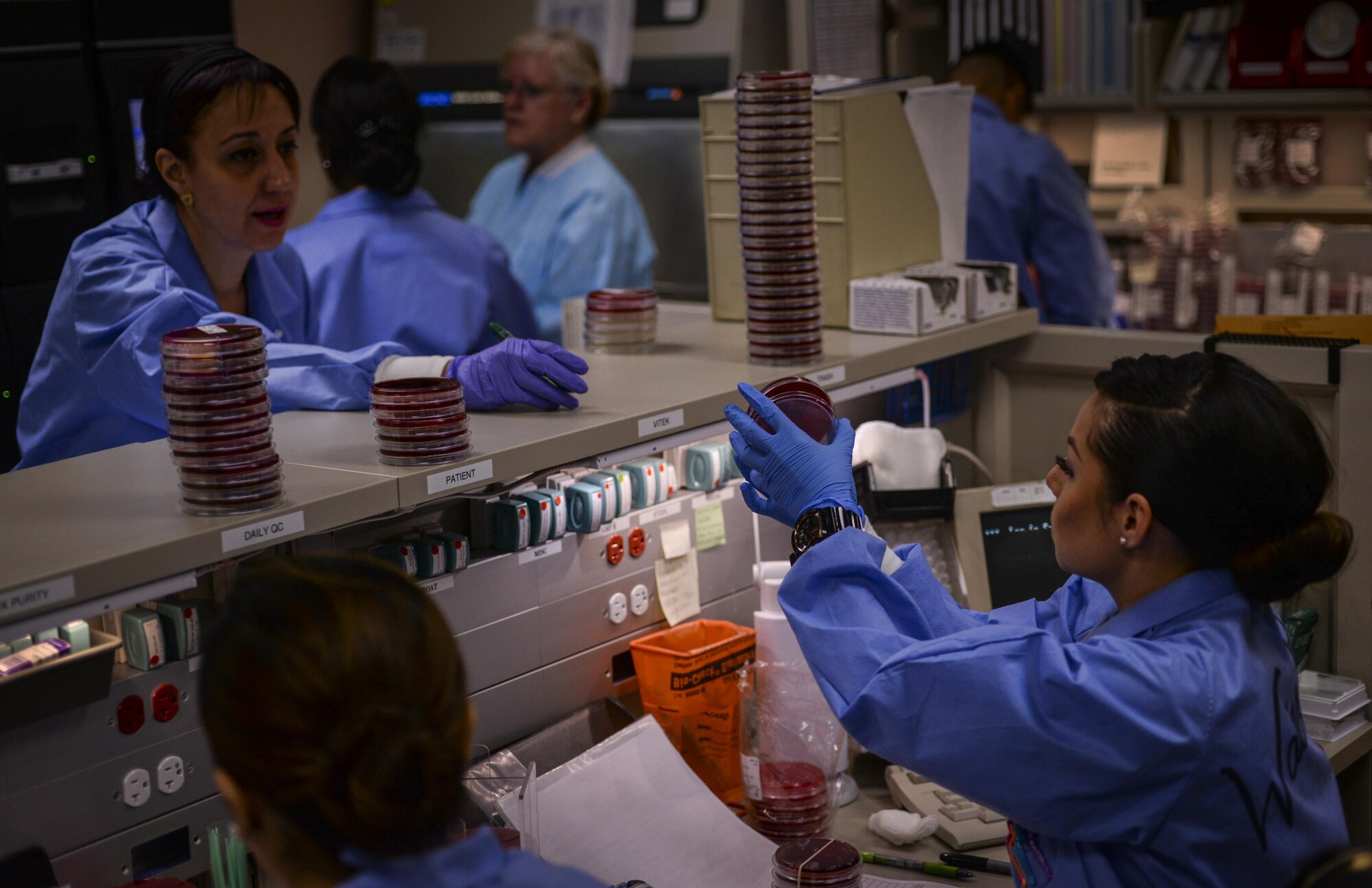 Senior Airman Vianey Wainright, 99th Medical Support Squadron laboratory technician, shows another member of the microbiology department the petri dish that was just tested in the Mike O'Callaghan Federal Medical Center at Nellis Air Force Base, Nev., April 15, 2016. The 99th MDSS provides the highest standards of administrative, logistical, & ancillary support for a 50-bed Air Force/Veterans Affairs (VA) joint venture while ensuring healthcare delivery to 238K DOD/VA beneficiaries. (U.S. Air Force photo by Airman 1st Class Kevin Tanenbaum) 