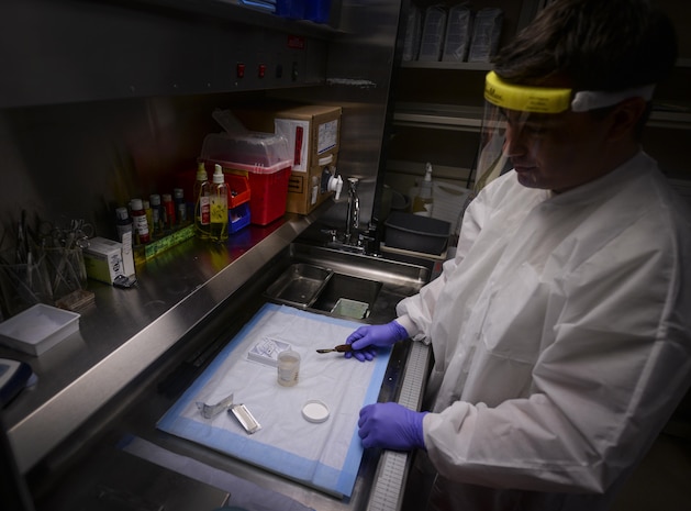 Capt. Craig Poster, 99th Medical Support Squadron pathologist, prepares to perform a standard procedure in the  Histology department of the Mike O'Callaghan Federal Medical Center at Nellis Air Force Base, Nev., April 15, 2016. The 99th MDSS manages a $94M budget & 1.5K manpower program, and also trains for the rapid deployment of medical personnel in support of AEF global operations. (U.S. Air Force photo by Airman 1st Class Kevin Tanenbaum) 
