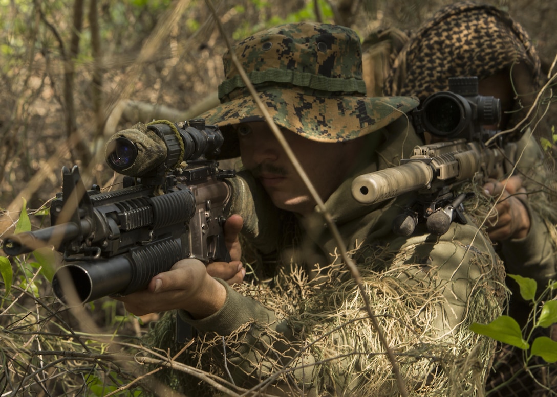 Designated marksmen with 1st Platoon, Bravo Company, 2nd Law Enforcement Battalion, look through the scope of their M110 sniper rifles while concealed in the tree line during the II Marine Expeditionary Force Command Post Exercise 3 at Camp Lejeune, N.C., April 20, 2016. During the CPX, 2nd LEB posted security around the campsite and defended it from mock enemies, ensuring the headquarters element could complete the mission safely. (U.S. Marine Corps photo by Cpl. Michelle Reif/Released)