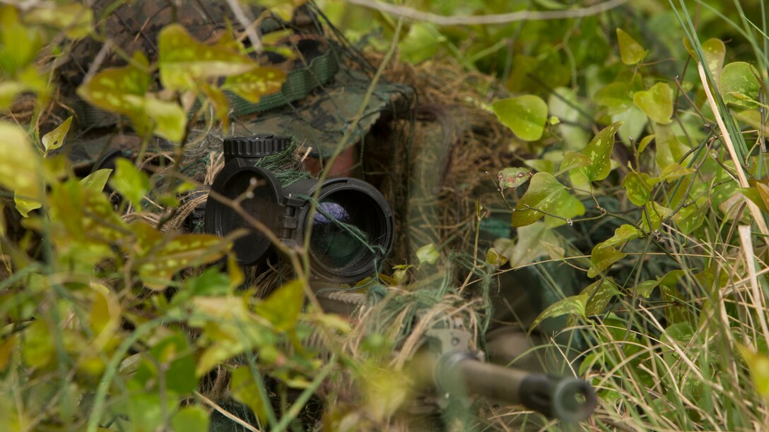 Lance Cpl. Thomas Hunt, a designated marksman with 1st Platoon, Bravo Company, 2nd Law Enforcement Battalion, looks through the scope of his M110 sniper rifle while concealed in the tree line during the II Marine Expeditionary Force Command Post Exercise 3 at Marine Corps Base Camp Lejeune, North Carolina, April 20, 2016. During the CPX, 2nd LEB posted security around the campsite and defended it from mock enemies, ensuring the headquarters element could complete the mission safely.