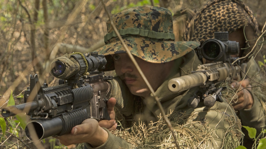 Designated marksmen with 1st Platoon, Bravo Company, 2nd Law Enforcement Battalion, look through the scope of their M110 sniper rifles while concealed in the tree line during the II Marine Expeditionary Force Command Post Exercise 3 at Marine Corps Base Camp Lejeune, North Carolina, April 20, 2016. During the CPX, 2nd LEB posted security around the campsite and defended it from mock enemies, ensuring the headquarters element could complete the mission safely. 