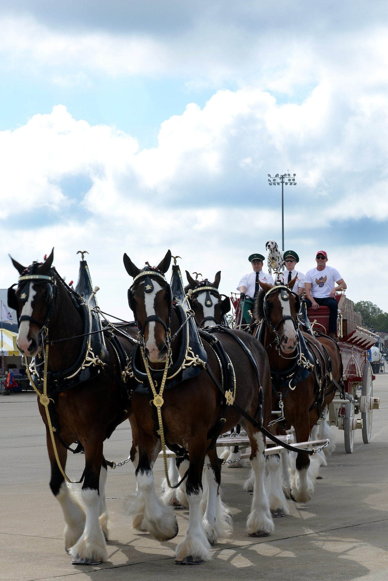 The Budweiser Clydesdales walk across the flight line during the AirPower over Hampton Roads Open House at Langley Air Force Base, Va., April 23, 2016. The open house aimed to educate the public on past and present Air Force aerial capabilities, increase recruiting and show appreciation to the local community. (U.S. Air Force photo by Staff Sgt. Teresa J. Cleveland)