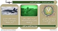 إنفوجرافيك 