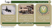 إنفوجرافيك 