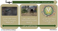 إنفوجرافيك 