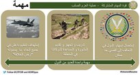 إنفوجرافيك 