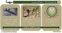 إنفوجرافيك 