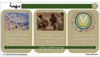 إنفوجرافيك 
