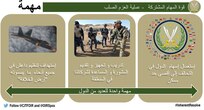 إنفوجرافيك 