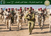 إنفوجرافيك 
