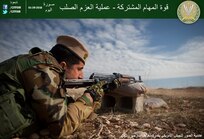 إنفوجرافيك 