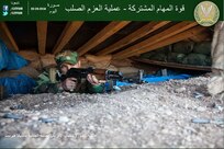 إنفوجرافيك 