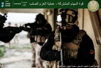 إنفوجرافيك 