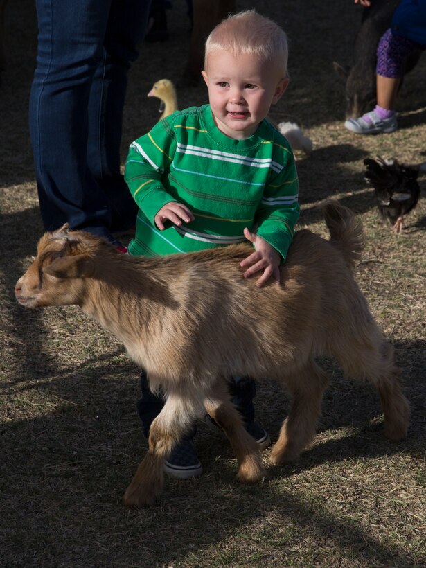 Ryder Green, son of Lt. David Green, dentist, 23rd Dental Company, pets a goat during the Earth Day Extravaganza at Lincoln Military Housing Athletic Field April 15, 2016. (Official Marine Corps photo by Cpl. Connor Hancock/Released)